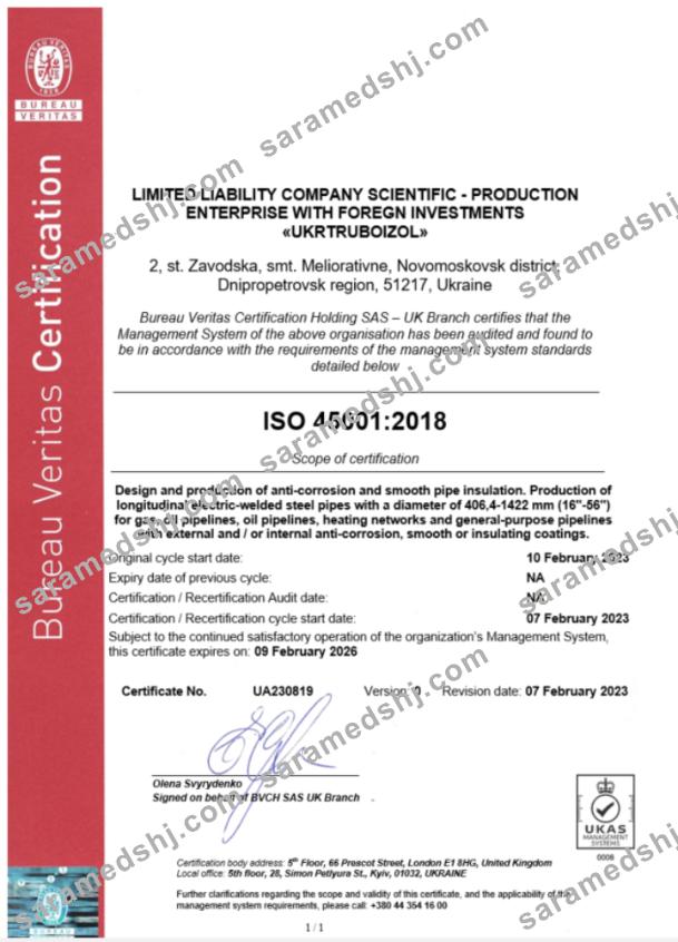 UK Bureau Veritas ceritificate of business registration Word and PDF template